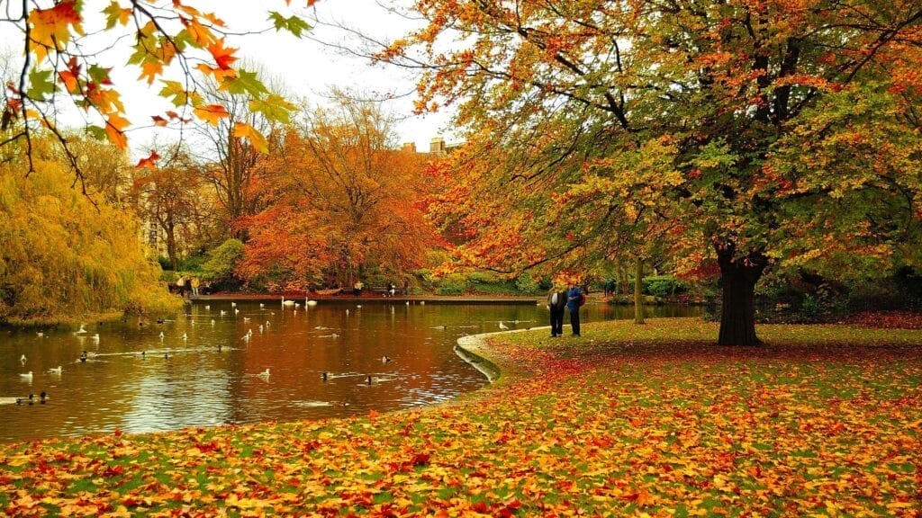 Dublin world's most tranquil place