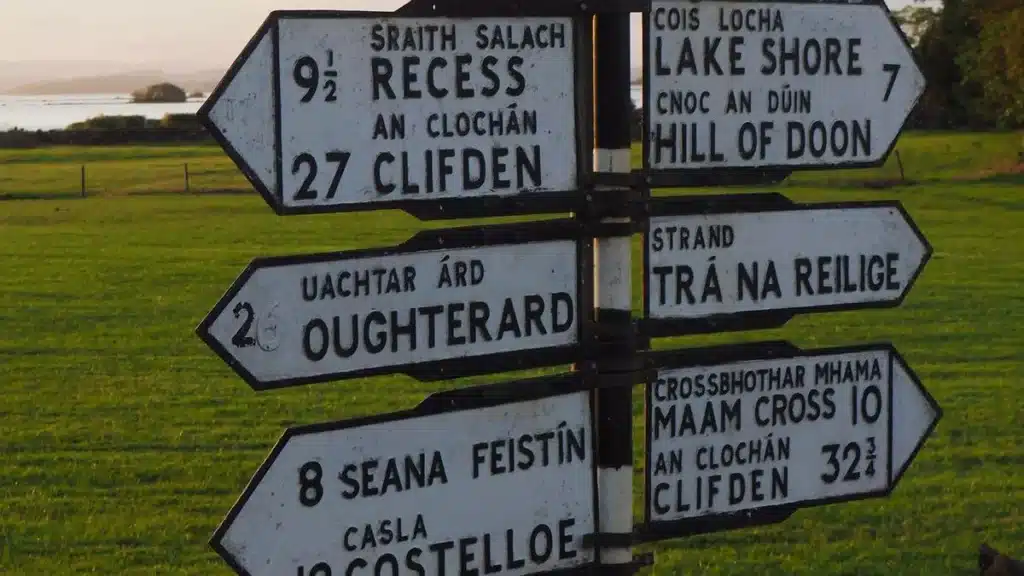 Irish place name dun