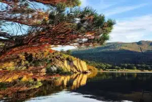 Killarney National Park