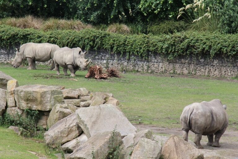 Dublin Zoo unveils Wildlife Preservation Center