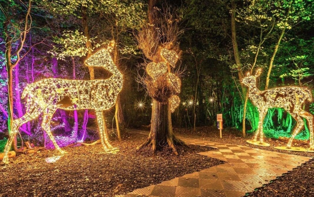 Wonderlights: The Magic of Winter illuminates your nights