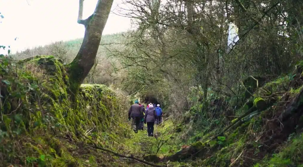 Paradise Hill-Ireland's best hiking trails