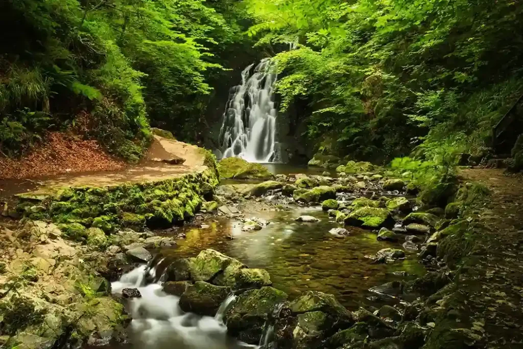 Glenoe Waterfall-Ireland's must-do adventures