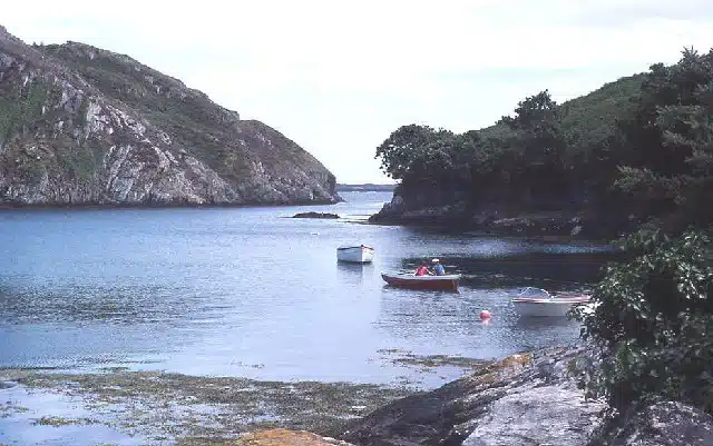 Lough Hyne lake