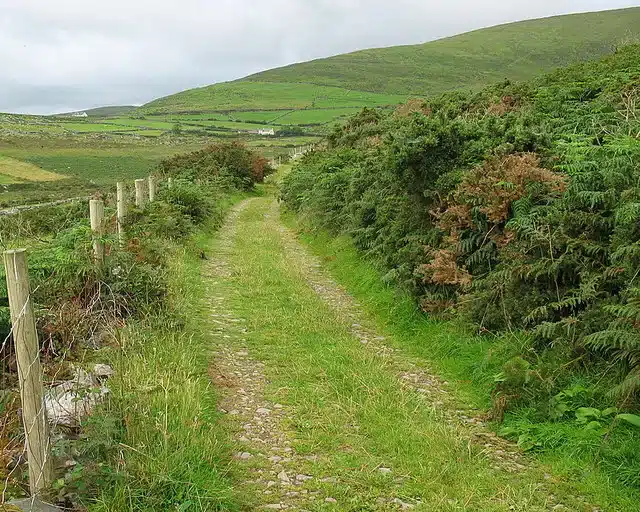 The Dingle Way, best hikes in Ireland