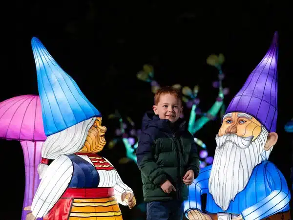 Enjoy the magic of Ireland’s Christmas festivals