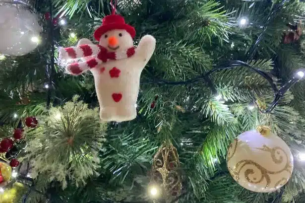 Dublin's Christmas Tree Disposal 2024