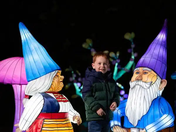 Ireland's Christmas festivals