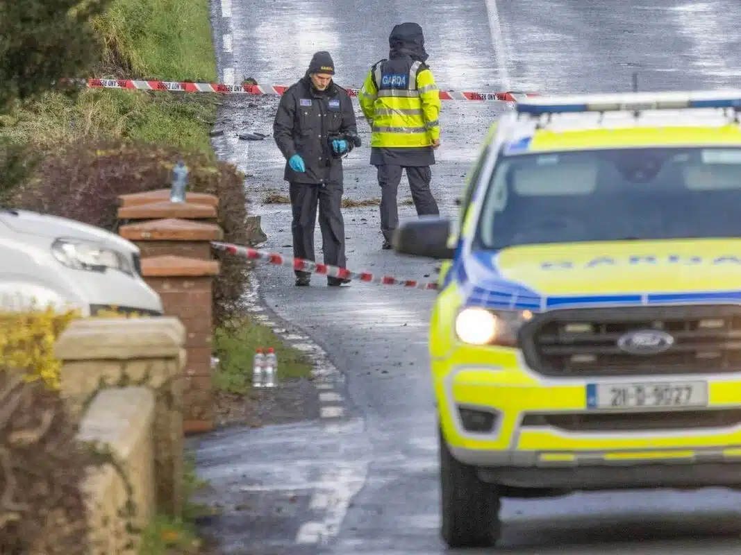Cork North Division Fatal Collisions