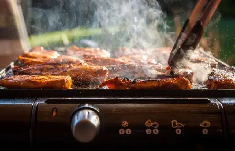DCC to launch Electric Barbecue in Parks during early 2024