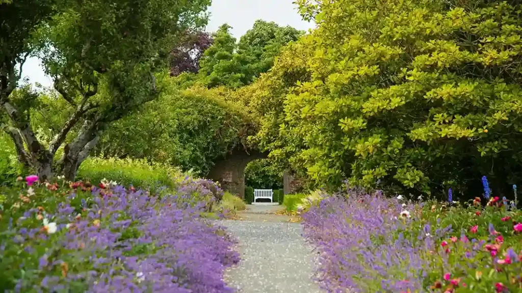Gardens-waterford