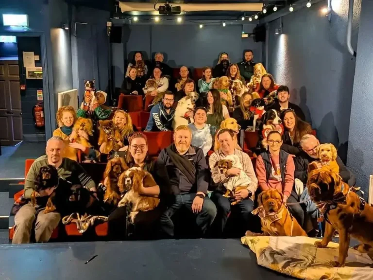 Dublin Theatre Hosts 30 Dogs for Lady & the Tramp Screening