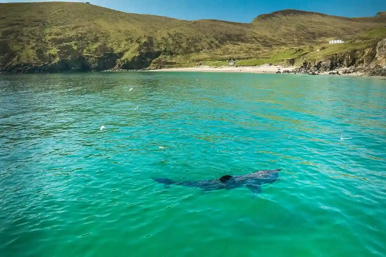 Keem Bay-World's 100 best Beaches