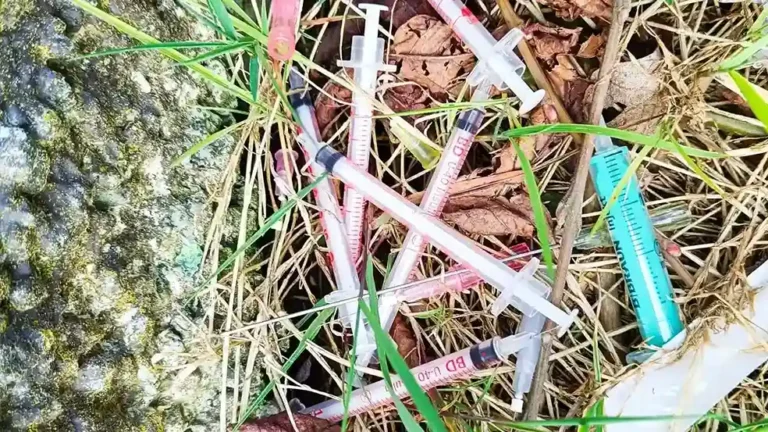 A father finds over 400 used syringes and blood vials in Dublin park