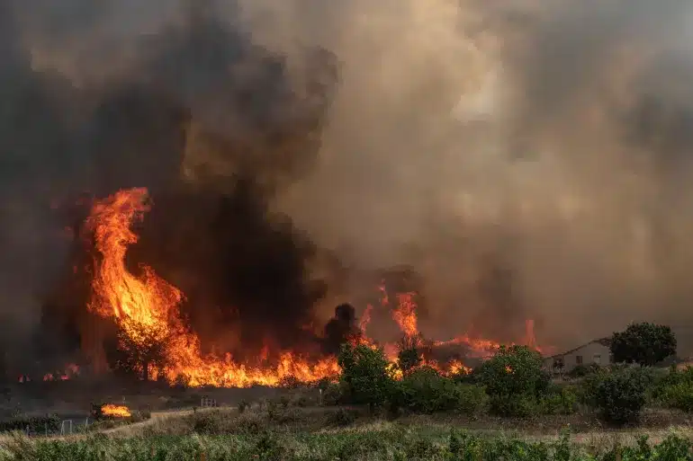Heat-related mortality in Europe rose by 30% over the past 20 years Heat-related mortality in Europe on rise