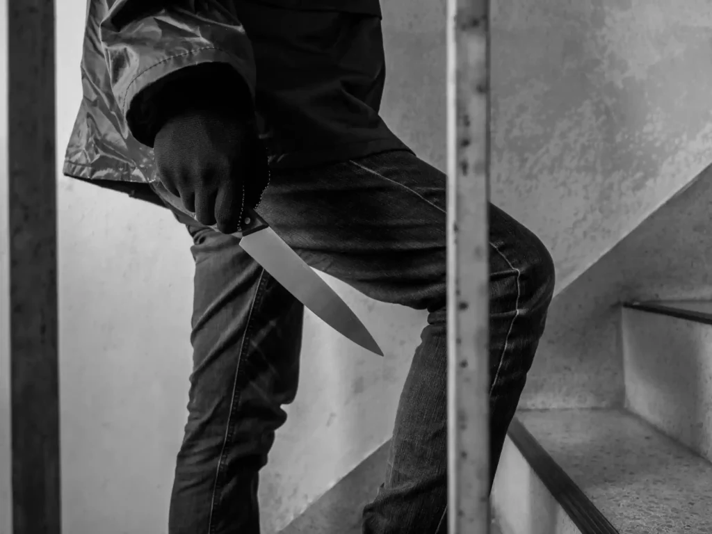 Ministers McEntee and Browne Advocate Stricter Penalties for Knife Crimes in Ireland