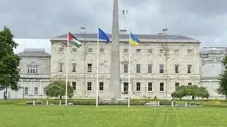 Palestinian Flag at Leinster House
