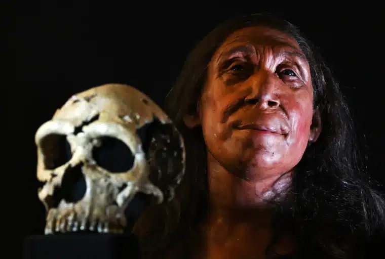 Researchers have reconstructed the face of  Neanderthal woman who lived 75,000 years ago