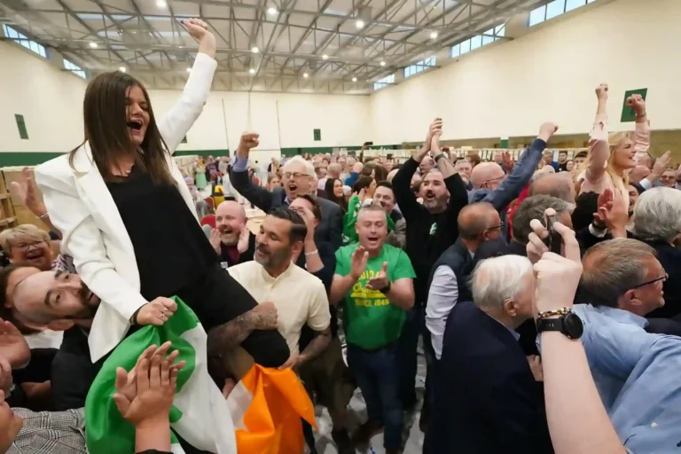 Final Irish MEPs Elected as Midlands-North-West Count Concludes