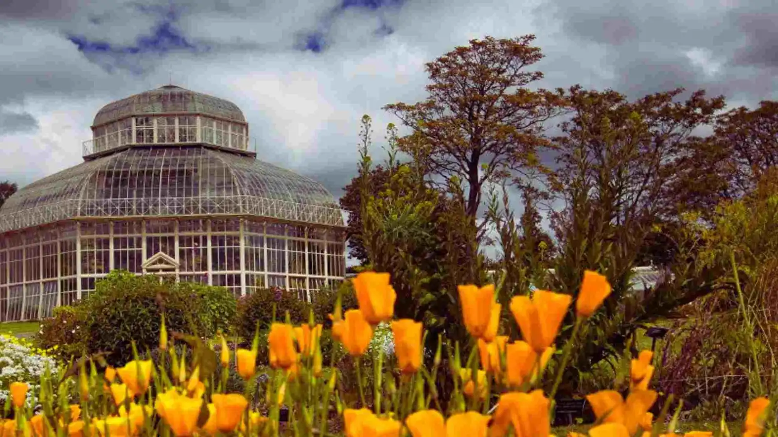 The Top 10 Free Activities to Enjoy in Dublin Today National Botanic Gardens-free things to do in Dublin