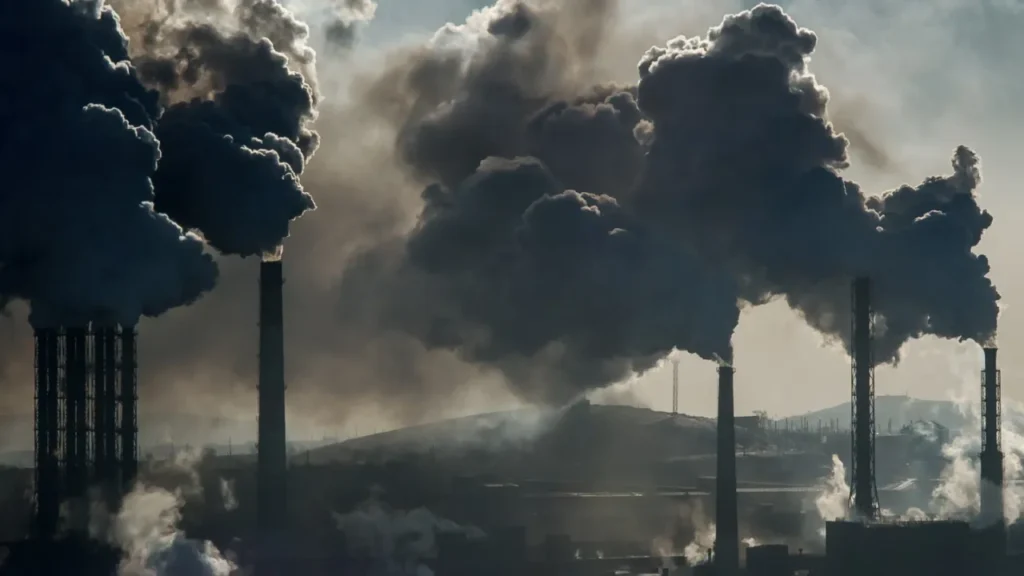 Climate campaigners