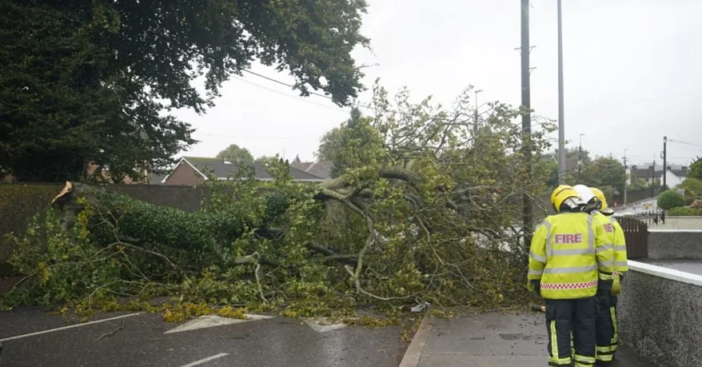 Status Orange Alert: Damaged Trees And Power Cuts Across Affected Areas