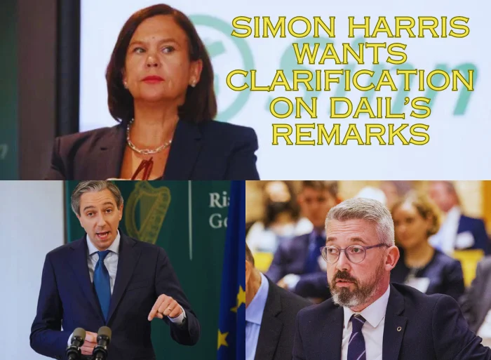 Dáil Remarks on O Donnghaile