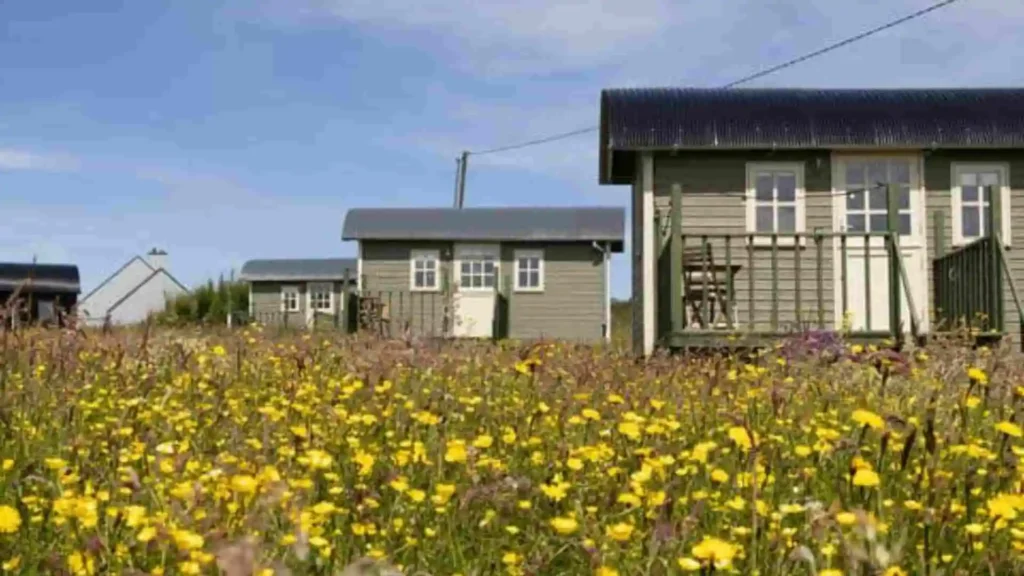 Most Amazing Glamping Ireland Spots Of 2025 image3 10