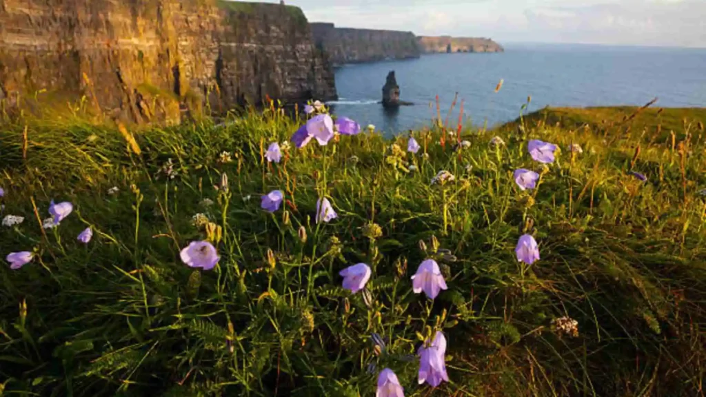 Complete Guide To Hike at the Burren National Park image3 9