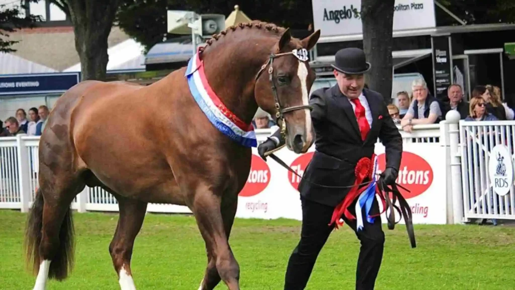 Dublin Horse Show