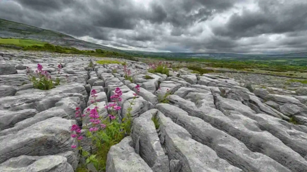 Complete Guide To Hike at the Burren National Park image8 3