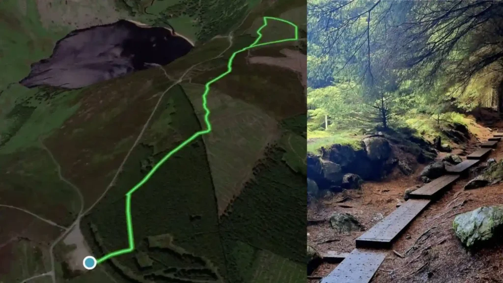 Guide To Ballinastoe Woods Walk’s Best Trails image2 16