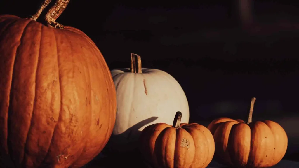 When Is Halloween 2025?