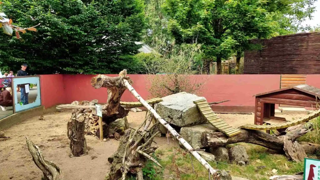 Emerald Park Ireland: Complete 2025 Guide for Rides, Tickets & Tips image4 9 2
