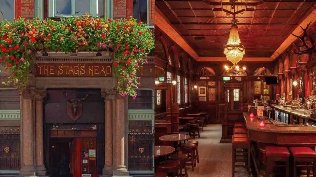Top 10 Pubs in Dublin for Great Drinks, Food, and Fun image9 4 4