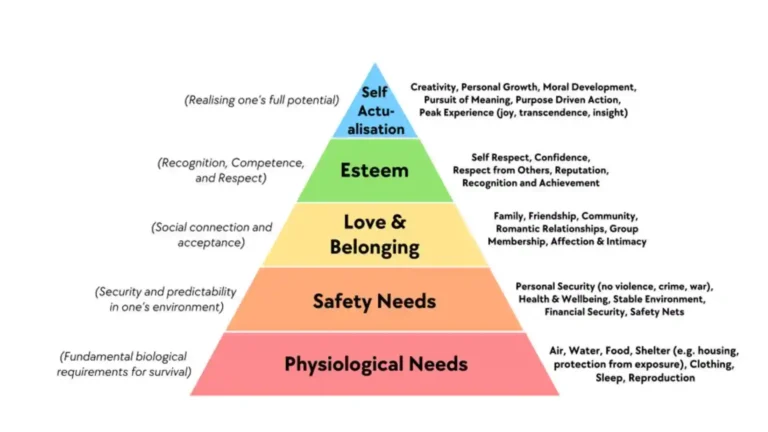 maslow's hierarchy of needs
