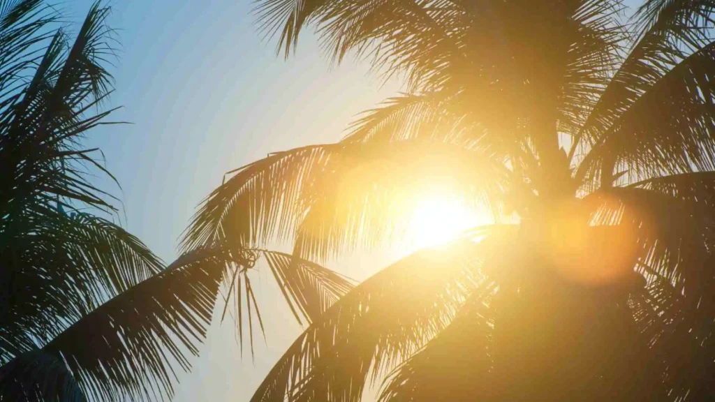 Ireland Weather Forecast This Week: Rainy, Breezy Days Ahead ireland weather forecast this week