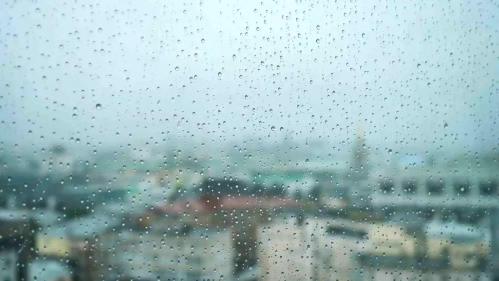 Ireland Weather Forecast This Week: Rainy, Breezy Days Ahead ireland weather forecast this week