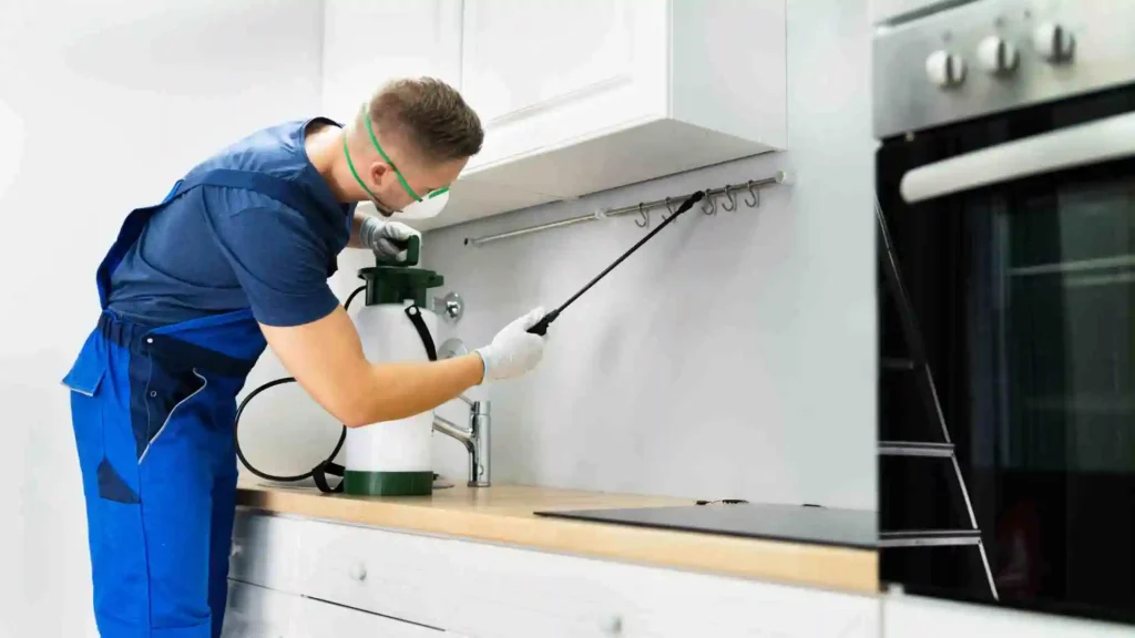 How to Get Rid of Ants With Proven Methods How to get rid of ants