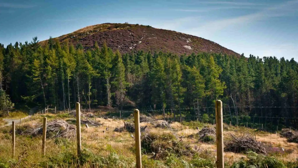 Top 25 Walks in Dublin: A Guide to the Best Walks in Dublin Carrickgollogan