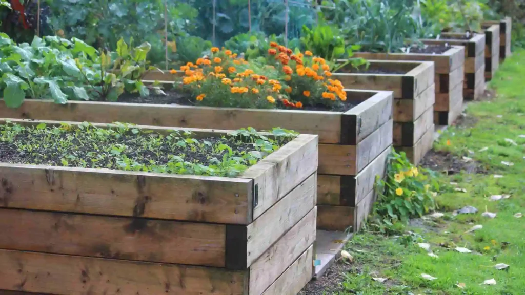 The Ultimate Guide to Vegetable Garden Layout in Ireland vegetable garden layout