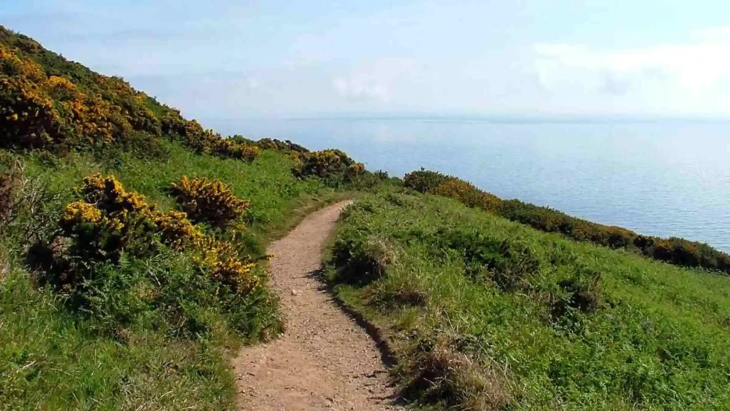 Top 25 Walks in Dublin: A Guide to the Best Walks in Dublin Howth Cliff Walk