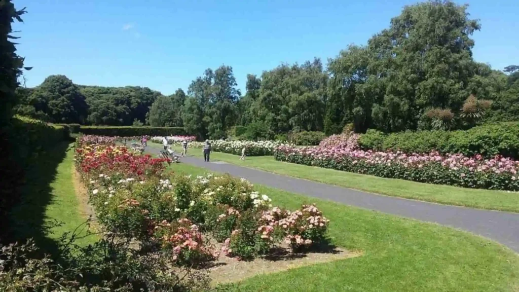 Top 25 Walks in Dublin: A Guide to the Best Walks in Dublin St Anne's Park