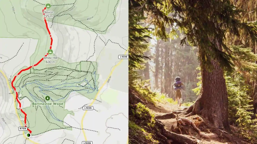 Djouce Mountain | Hiking routes, tips and parking information djouce mountain