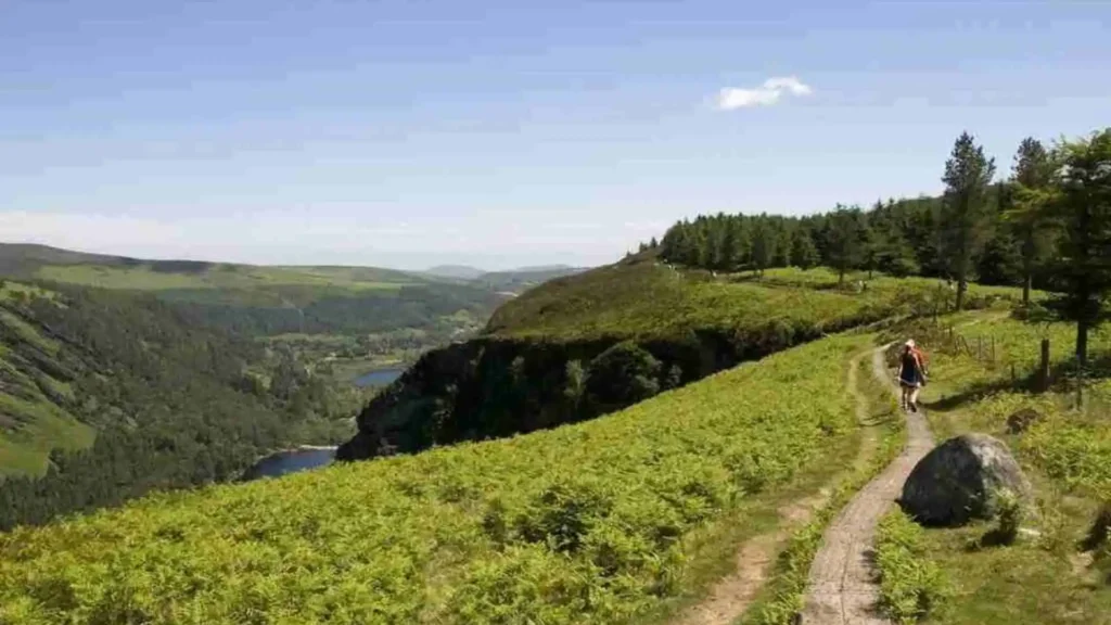 Marley Park to Clonegal