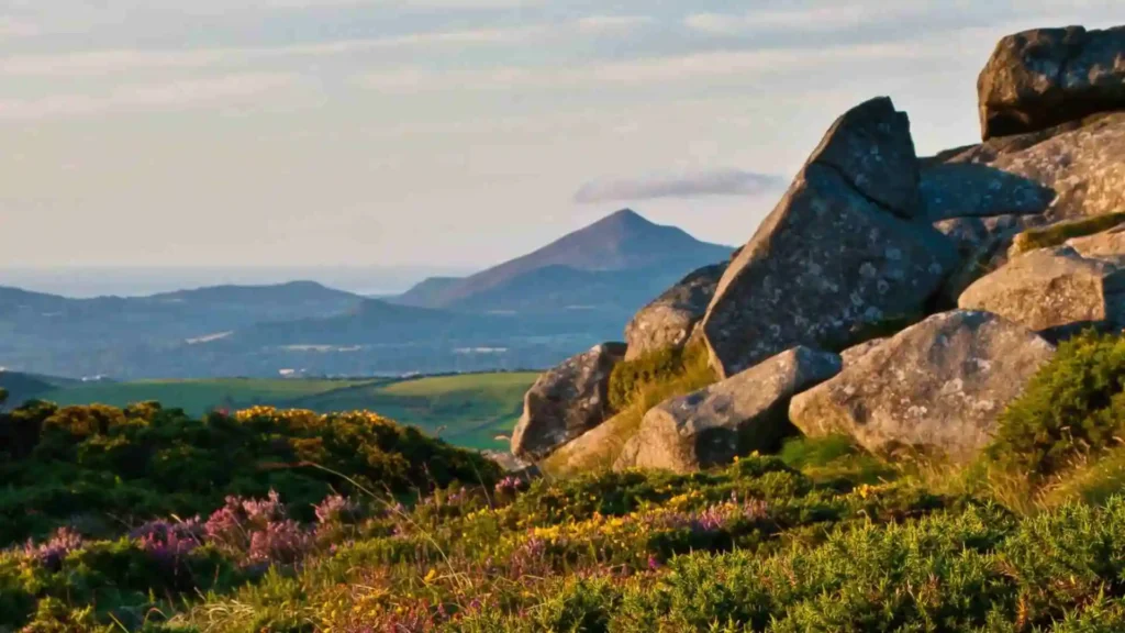 Top 25 Walks in Dublin: A Guide to the Best Walks in Dublin Ticknock