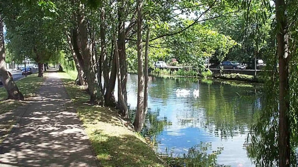 Top 25 Walks in Dublin: A Guide to the Best Walks in Dublin Grand Canal Banks & River Dodder