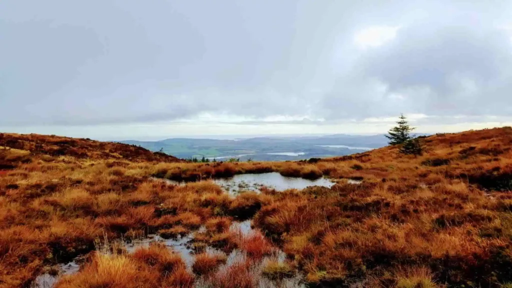 Djouce Mountain | Hiking routes, tips and parking information djouce mountain