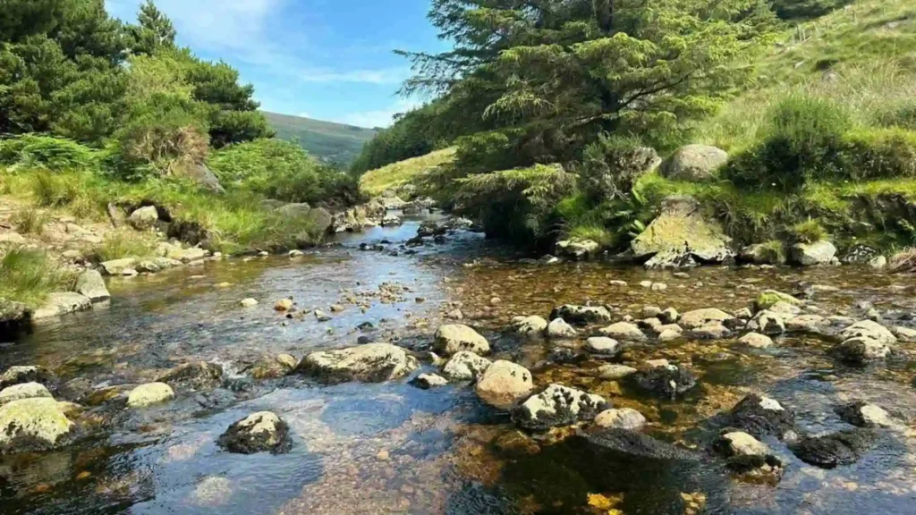 Hike Lugnaquilla: Ireland’s Third Highest Mountain Lugnaquilla