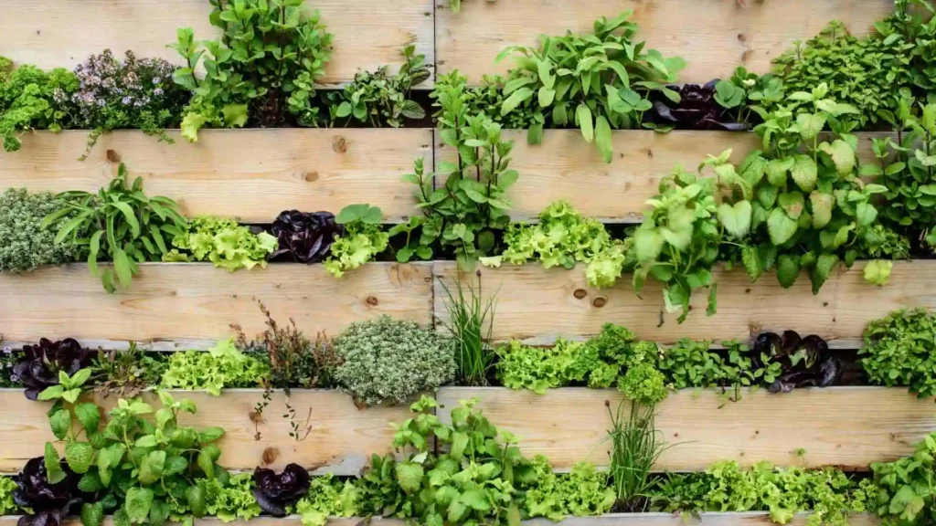 The Ultimate Guide to Vegetable Garden Layout in Ireland vegetable garden layout